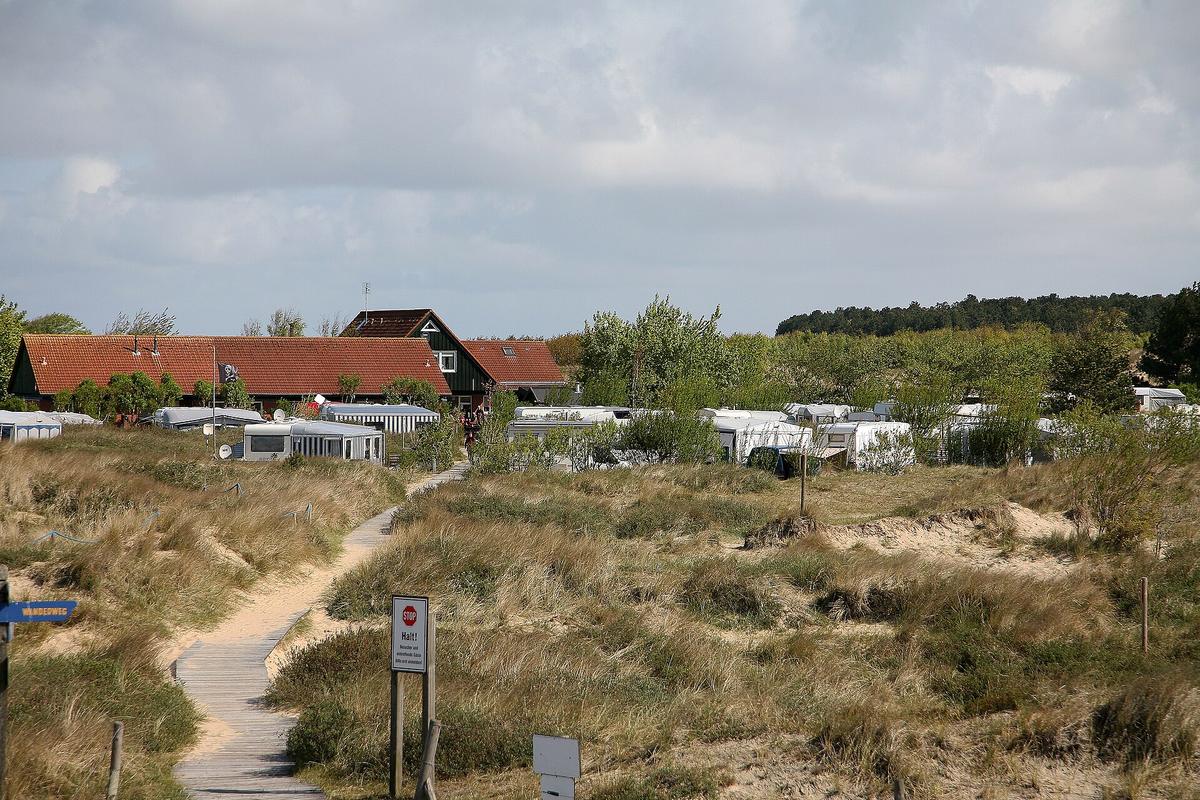 campsite pitch hedge morning