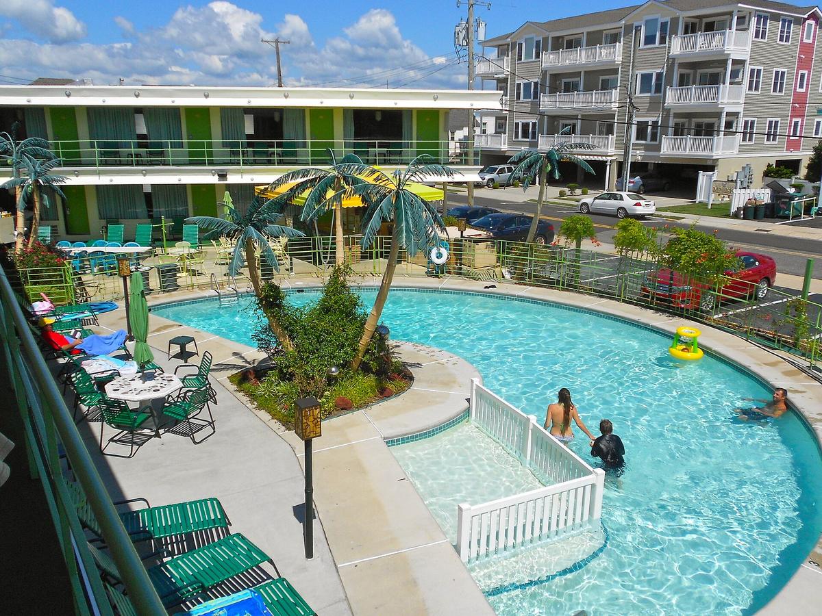 Caribbean resort pool palms