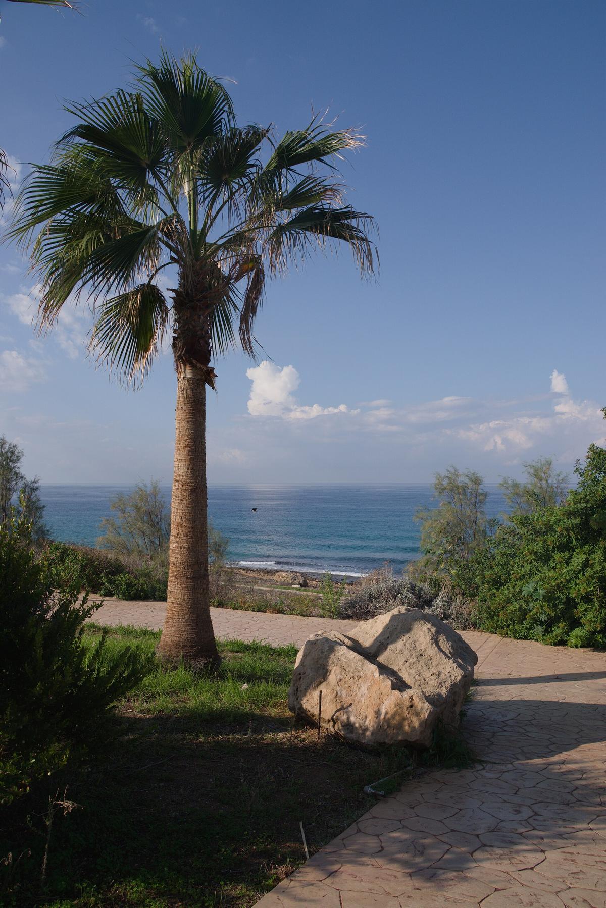 Cyprus resort hotel pool sea